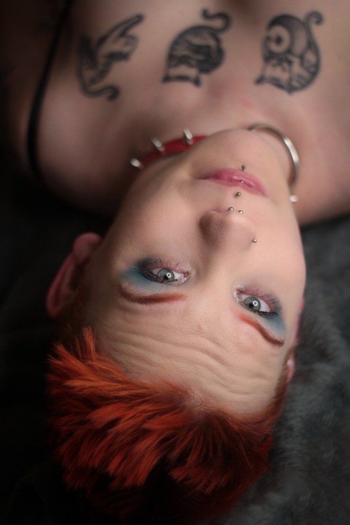 Pinja makaa harmaalla alustalla kaulapannassa ja katsoo kohti kameraa.